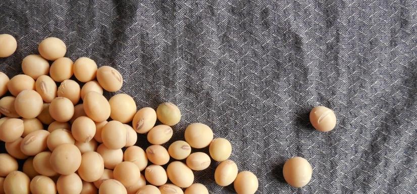 Candle wax - soy wax