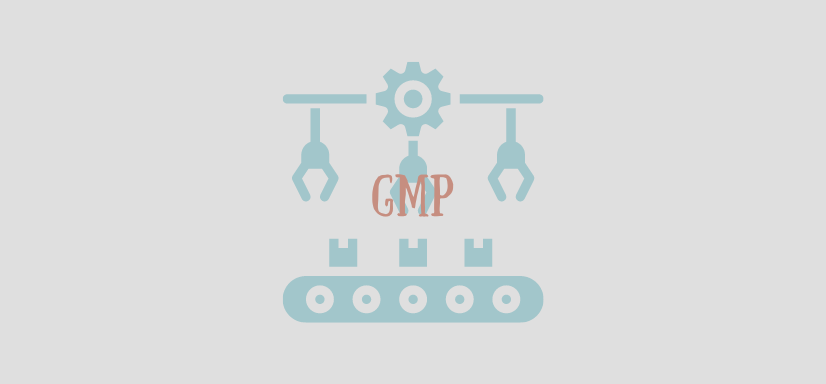 What is GMP?